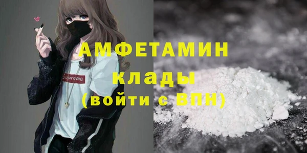шишки Аркадак