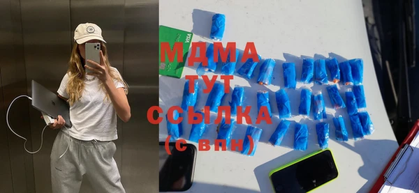 шишки Аркадак
