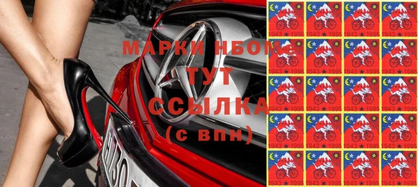 шишки Аркадак