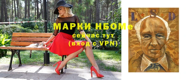 шишки Аркадак