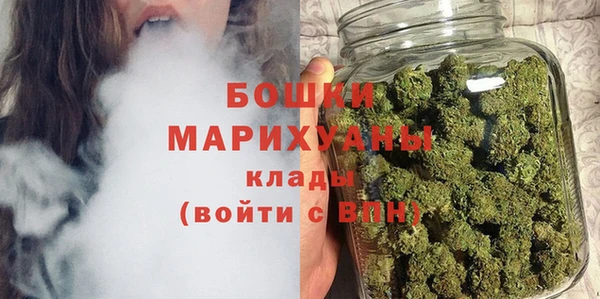 шишки Аркадак