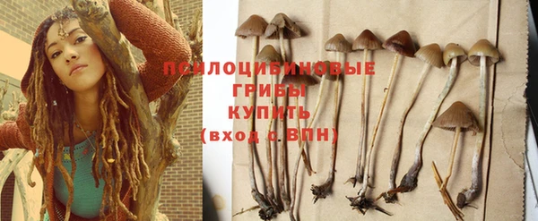 ГАЛЛЮЦИНОГЕННЫЕ ГРИБЫ Арсеньев