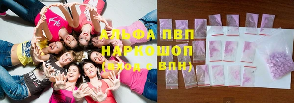 шишки Аркадак