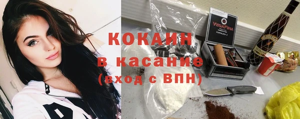шишки Аркадак