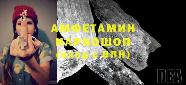 шишки Аркадак