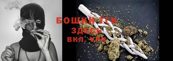 ешки Алексин