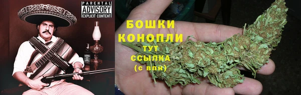 ГАЛЛЮЦИНОГЕННЫЕ ГРИБЫ Арсеньев