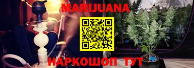 гидра Кингисепп