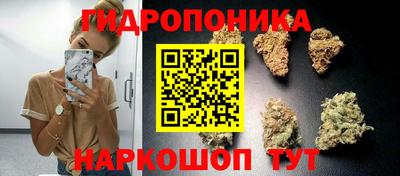 гидра Кингисепп