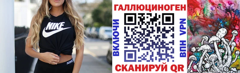 Галлюциногенные грибы Psilocybe  Моздок 