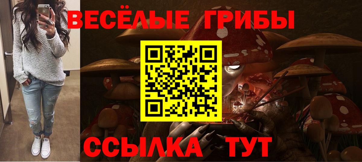 Галлюциногенные грибы Cubensis  Галлюциногенные грибы ЛСД  Моздок  Вход с VPN 
